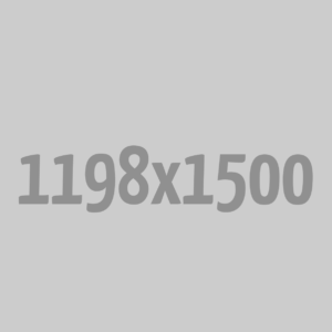 Premium Crewneck Sweatshirt